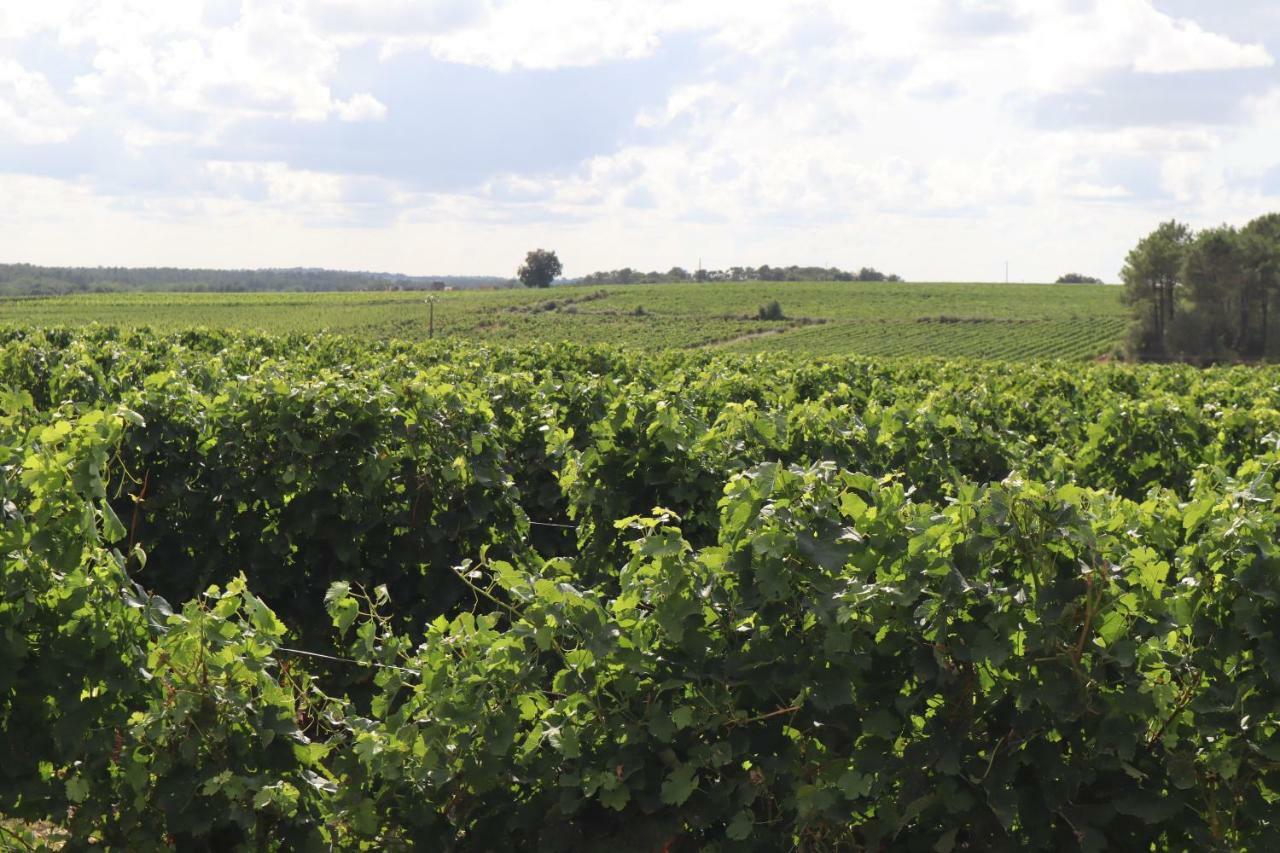 Domaine Des Tilleuls Val-de-Livenne Dış mekan fotoğraf